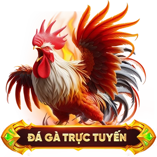 đá gà trực tuyến KING33